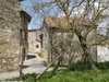 Casa Colle Cetona - walnut tree in garden